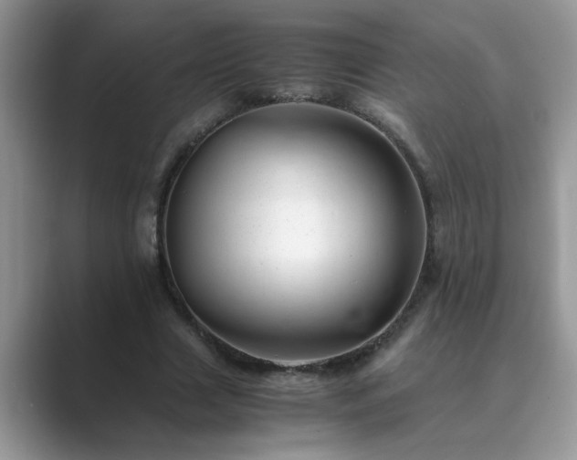 X0000089870633200707051152