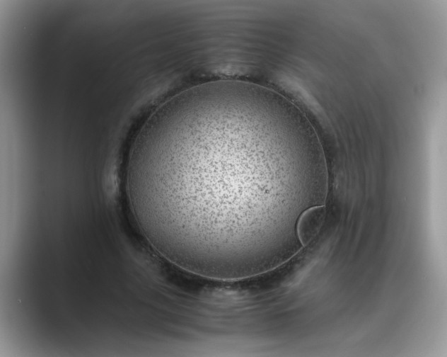 X0000089870635200707051152