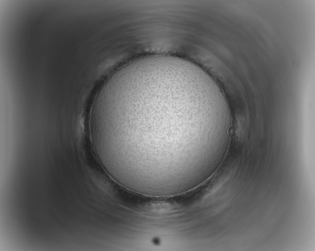 X0000089870636200707051152