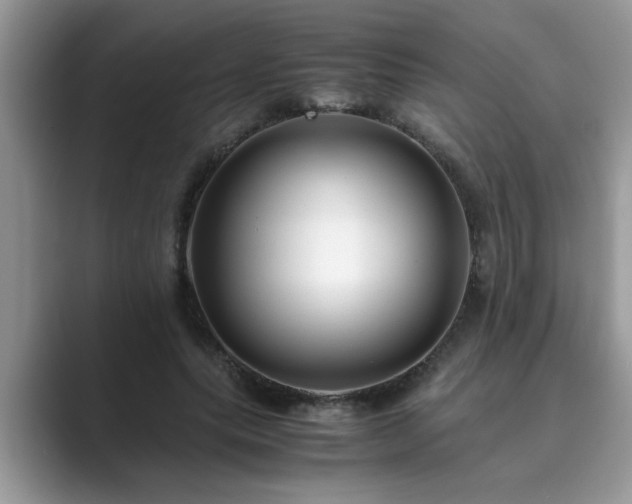 X0000089870639200707051152
