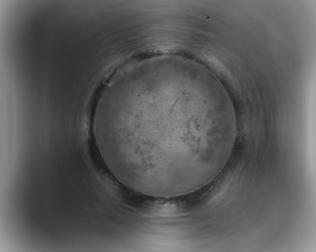 X0000089870640200707051152