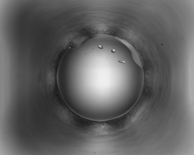 X0000089870642200707051152