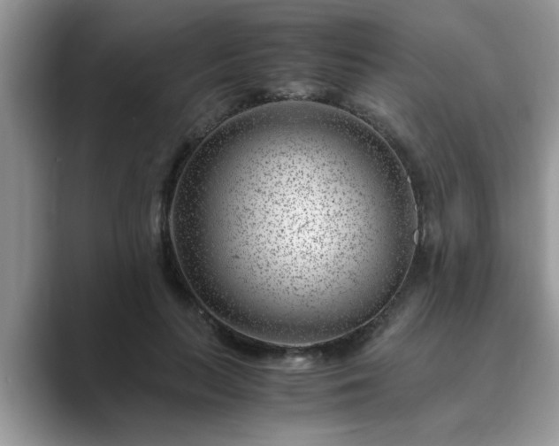 X0000089870647200707051152