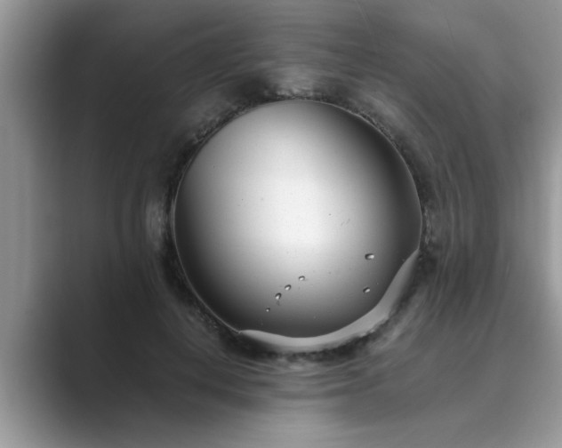 X0000089870648200707051152
