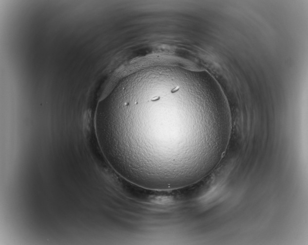 X0000089870649200707051152