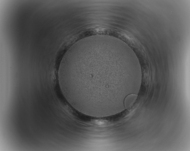 X0000089870654200707051152
