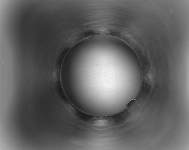 X0000089870658200707051153