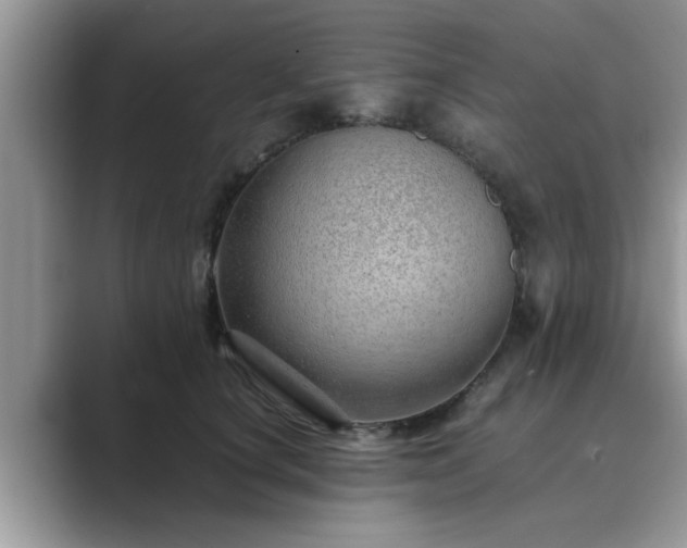 X0000089870660200707051153