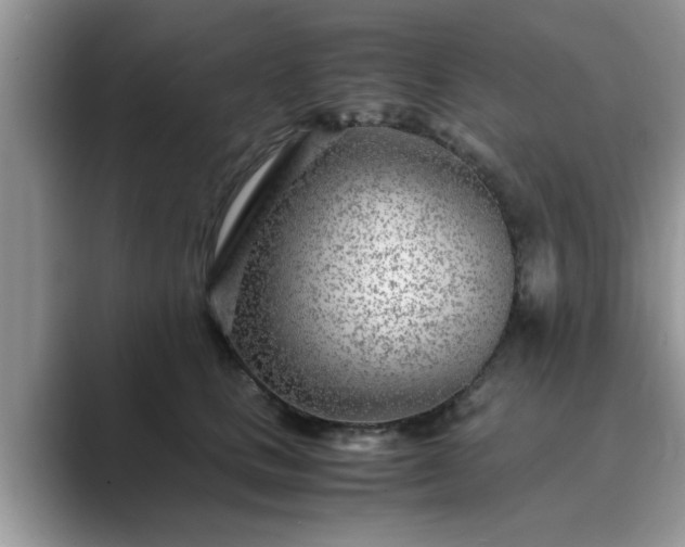 X0000089870661200707051153