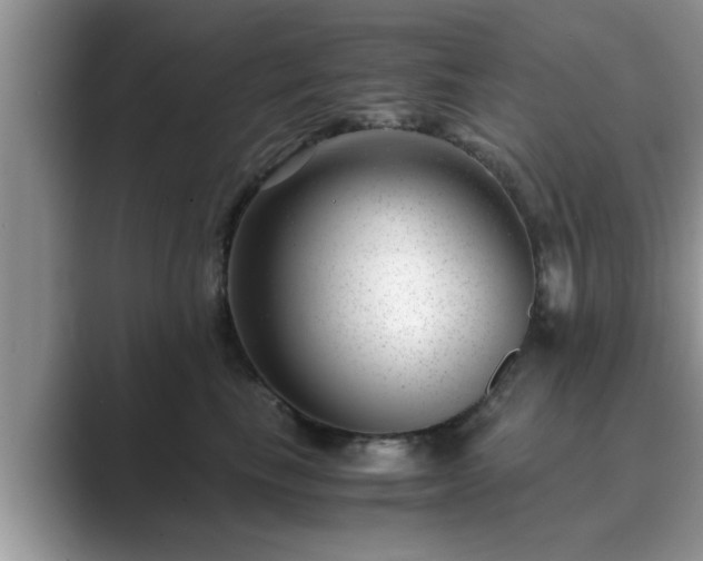 X0000089870665200707051153