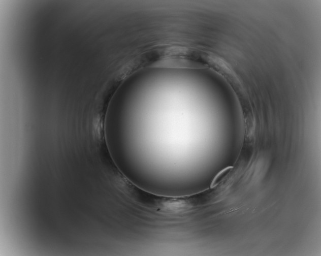 X0000089870669200707051153