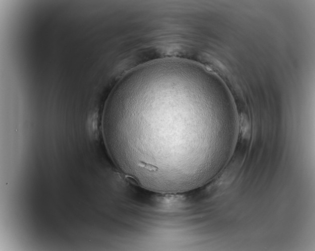 X0000089870670200707051153