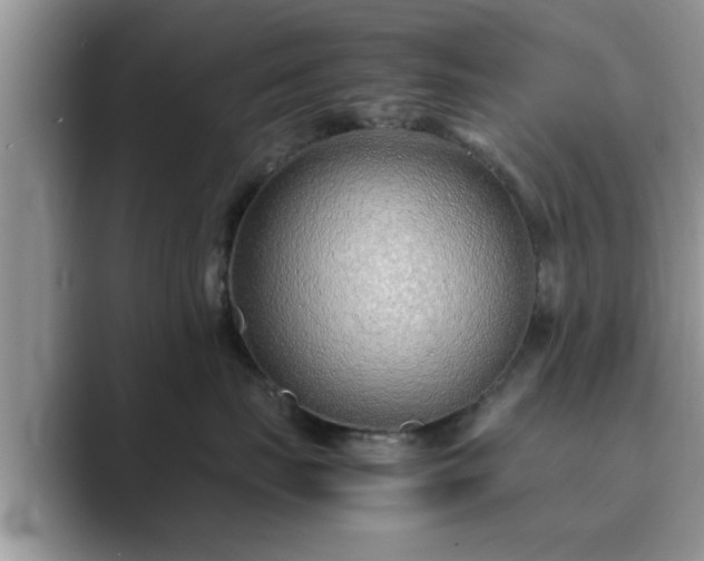 X0000089870671200707051153