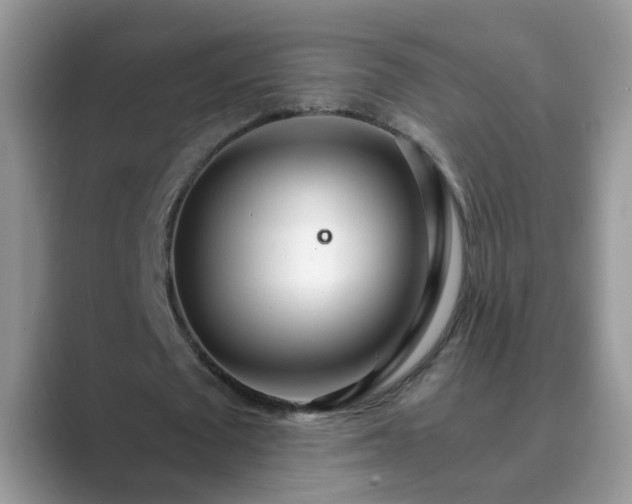 X0000089870673200707051152