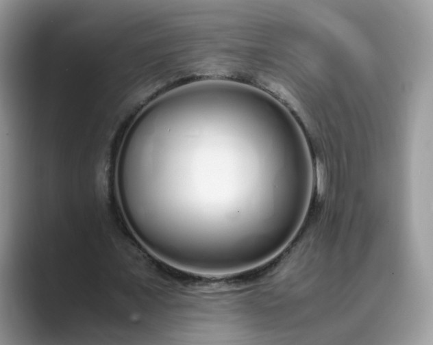 X0000089870675200707051152