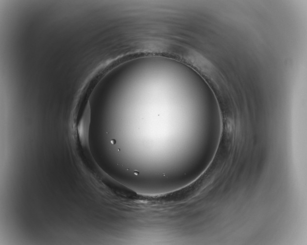 X0000089870676200707051152