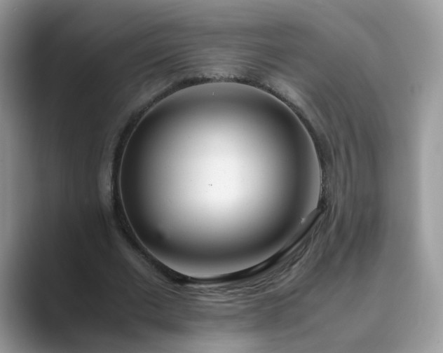 X0000089870677200707051152