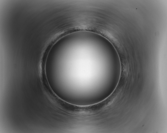 X0000089870678200707051152