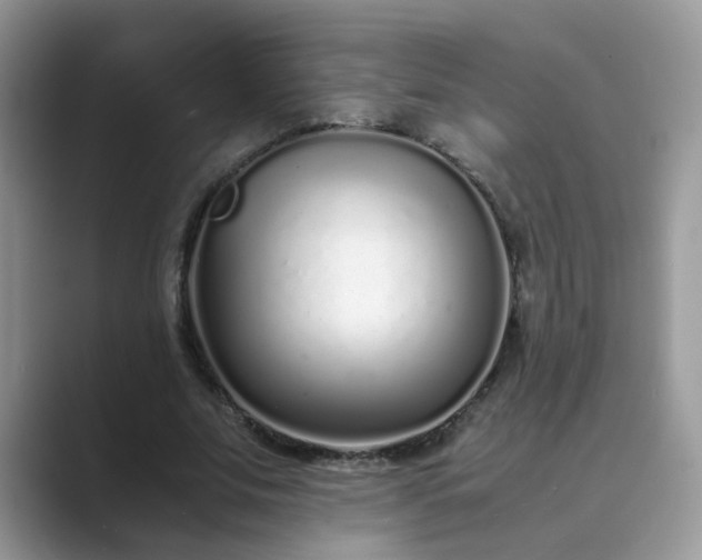X0000089870679200707051152