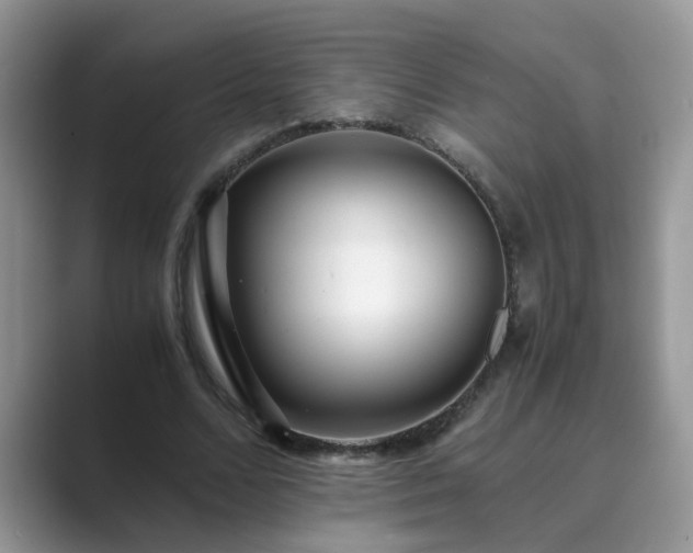 X0000089870680200707051152