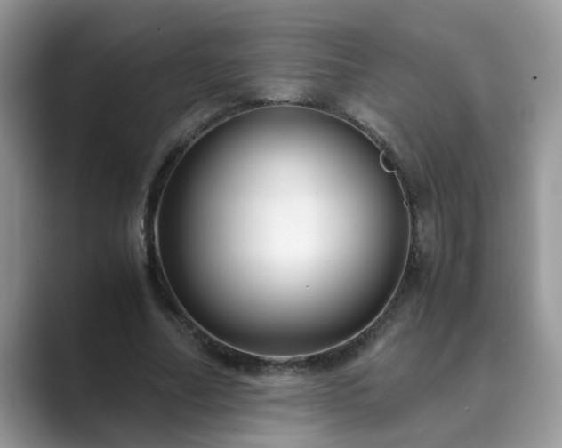 X0000089870682200707051152