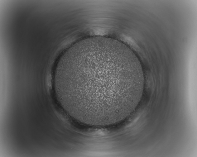 X0000089870683200707051152