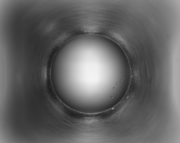 X0000089870686200707051152