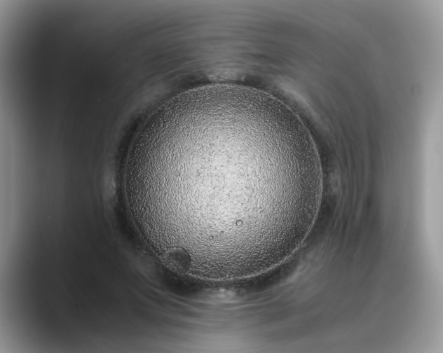 X0000089870687200707051152