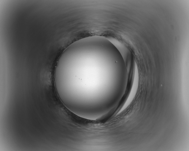 X0000089870689200707051152