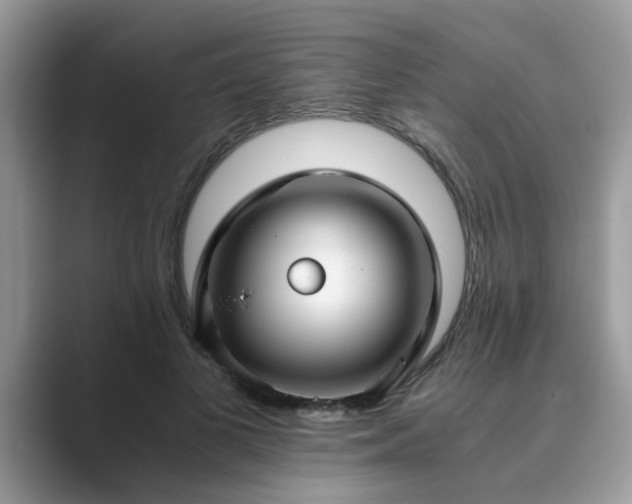 X0000089870693200707051152