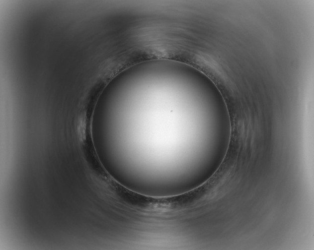 X0000089870694200707051152