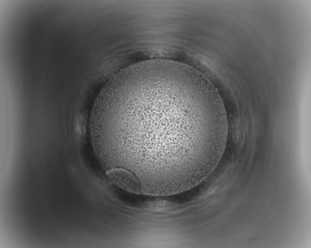 X0000089870695200707051152