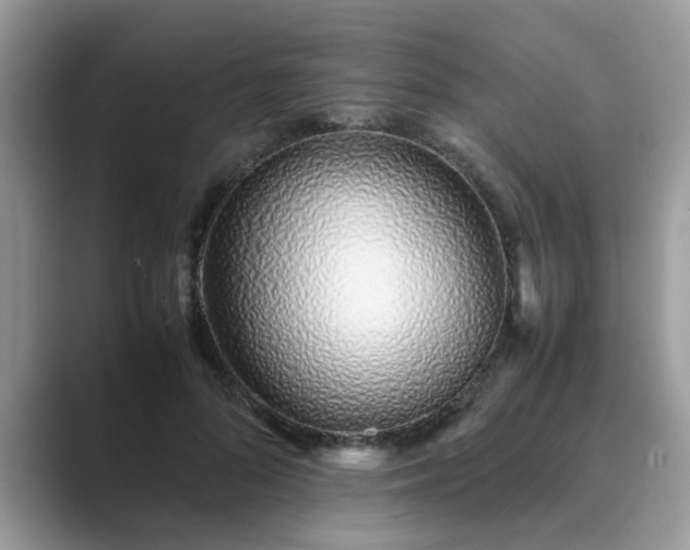 X0000089870696200707051152