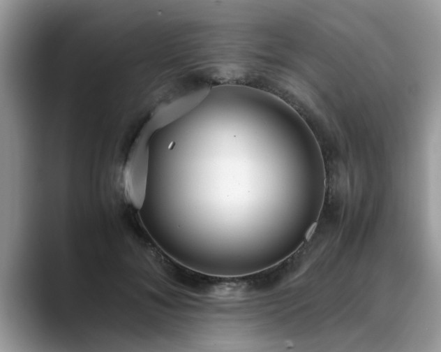 X0000089870700200707051152