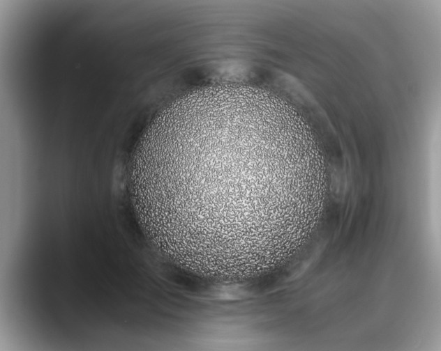 X0000089870701200707051152