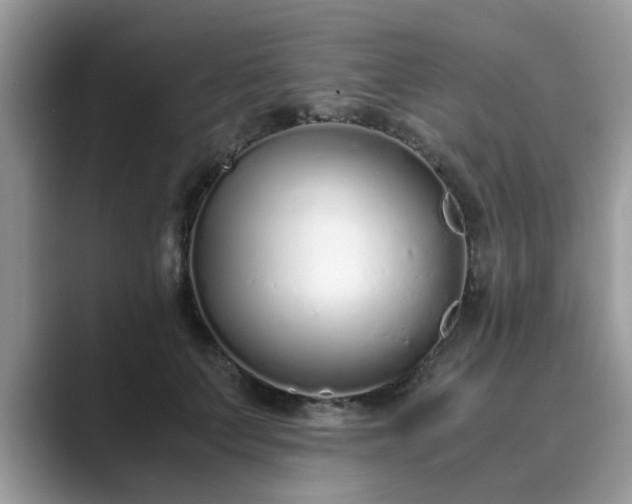 X0000089870703200707051152