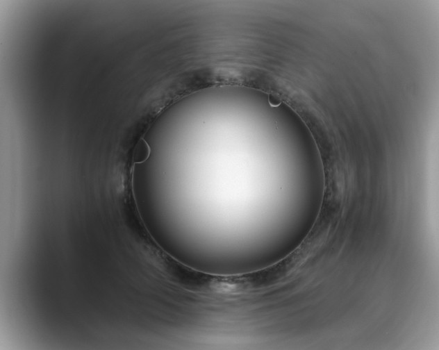 X0000089870706200707051152