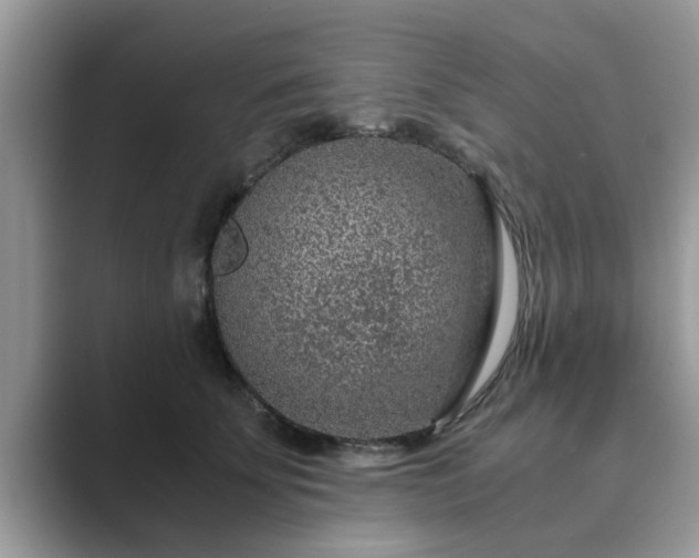 X0000089870707200707051152