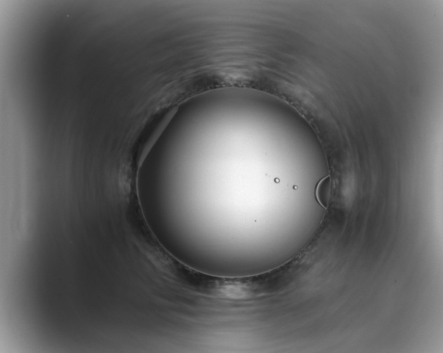 X0000089870710200707051152