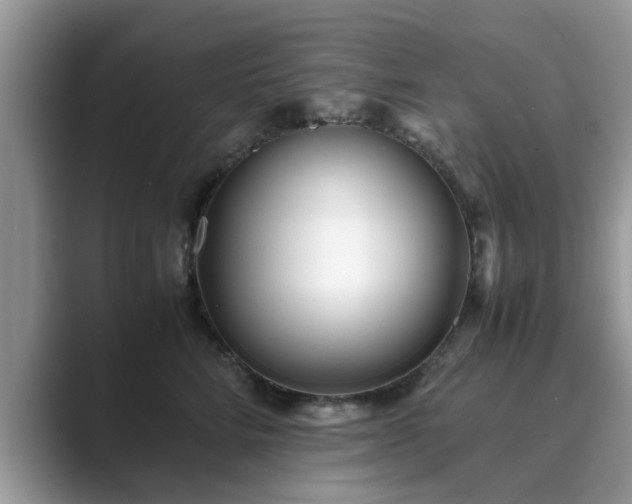 X0000089870712200707051152