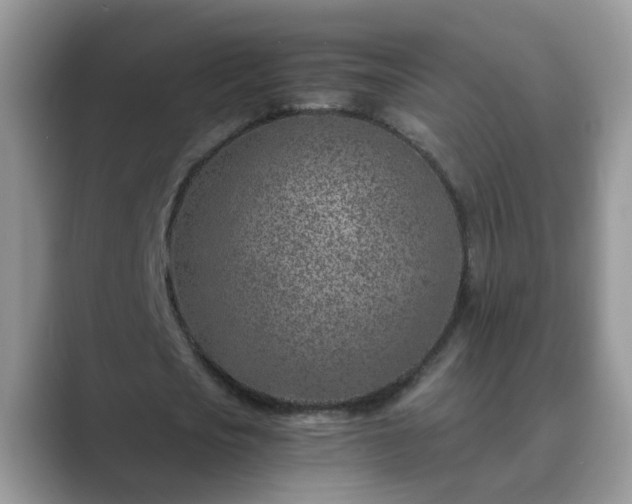 X0000089870721200707051151