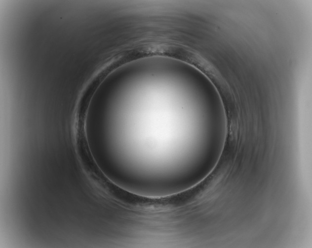 X0000089870722200707051151