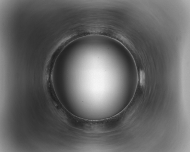X0000089870723200707051151