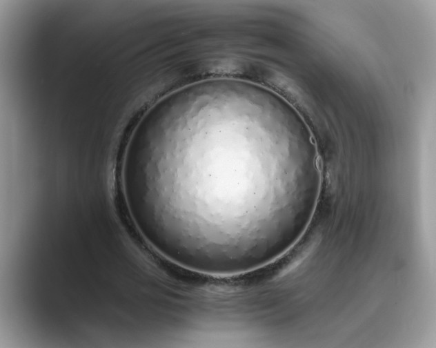 X0000089870725200707051151