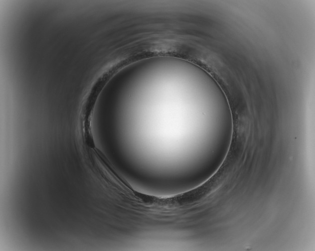X0000089870727200707051151