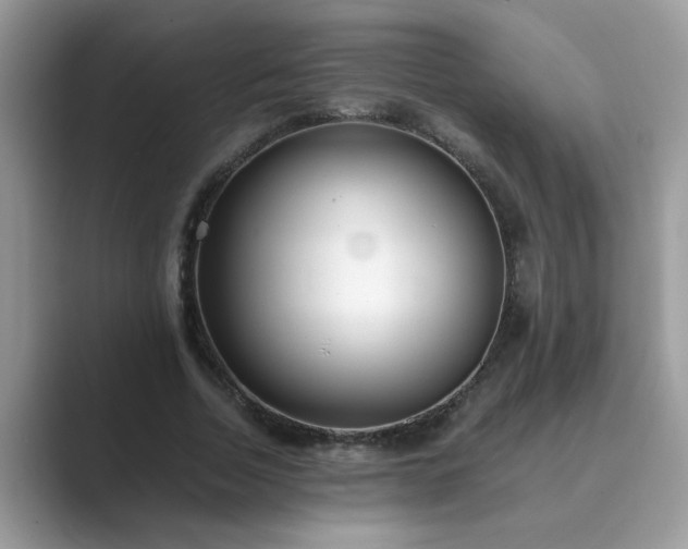 X0000089870730200707051151