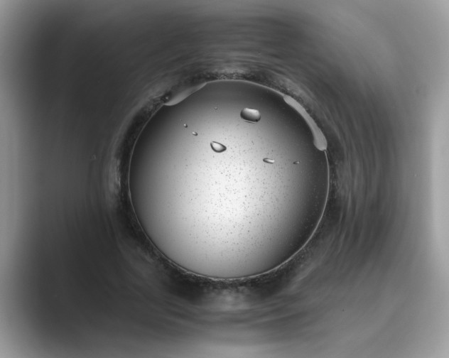 X0000089870731200707051151