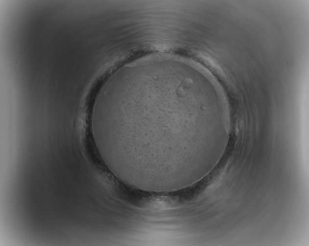 X0000089870736200707051151