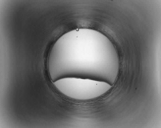 X0000089870738200707051151
