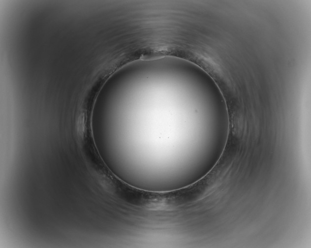 X0000089870740200707051151